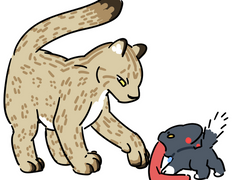 [유진른] 현제설표의 고영 관찰 일기 1 (+a)