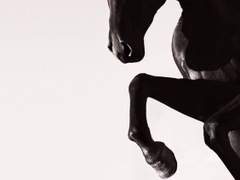 가라말의 심장 02