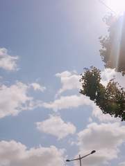 [혁콩]  짧은 글 / 긴 글