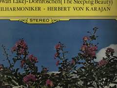 『44』 마음만 먹으면 할 수 있는 것들