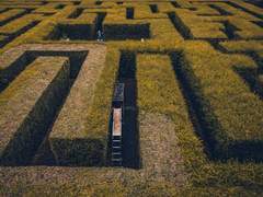 2020. 01. 22 [미로 정원]