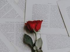 [축나비] 내게 핀 한 송이