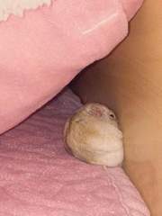 팀장님을 주워왔어