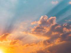 따사로운 햇살을 내게 안겨 줘