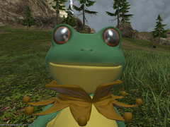 [기괴한 푸아족]