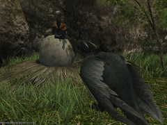 [곧 태어날 너에게]