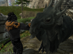 [픽시족도 가지각색]