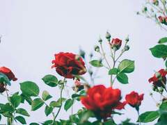 모든게 처음이라서.