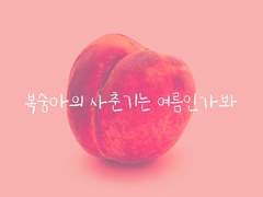 현제유진 - 복숭아의 사춘기는 여름인가봐
