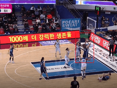 01.24(금) 17:00WKBL 신한은행 vs BNK썸