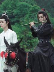 진정령/마도조사