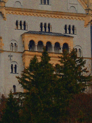 처음 사진기를 쥐었을 때부터 생긴 버릇이 있다