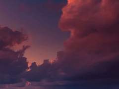 제목이 없습니다