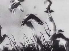 [노담] 자장가를 불러주기 위하여