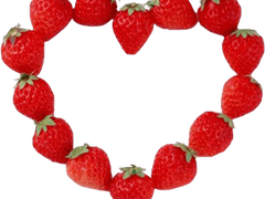 스트로베리 러브