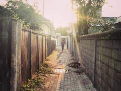 그 여름의 싱그러움 (中-1)