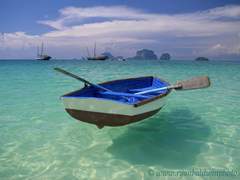 덧없는 세상에서 피어나는 꽃의 이름은