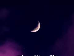 雪蓮花(설연화),08