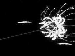 죽음과 상실에 대하여