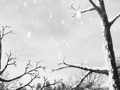 @ 아이누르 에제