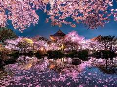 [레뷰스타] 오늘은 아니라오