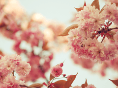 우주님(@13434O_OP) 타로커미션