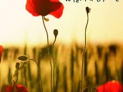 [현제유진] 오즈의 마법사 1