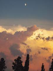 天香國色 : 천향국색