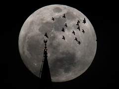 [육섭 조각글] I Love You to the Moon and Back