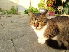 비밀 포스트 비밀번호 힌트