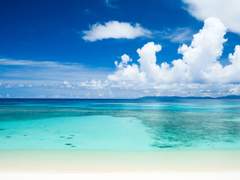 [1일차 조사] - 1번째