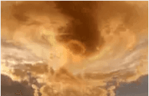 [단편] 미.먼. 추천 W. 인트