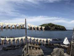 제주, 낚시하는 사람들