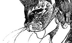 고양이 가면을 쓴