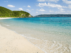 나의 아오라이 마을