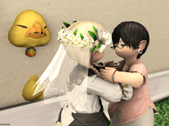 ✿❣️행복한 룻부대❣️✿