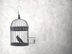 [리사유키] 새장