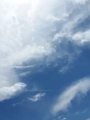 그판세 글 단편