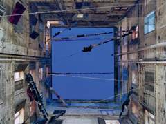 버림받는 것은 나의 숙명이니