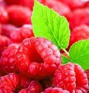 삼국지 2차 연성