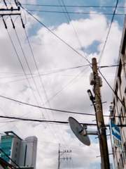 [찬백] 미필적 고의