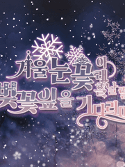 겨울 눈꽃 아래 흩날릴 벚꽃잎을 기다리며