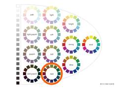 세븐틴 도겸 퍼스널 컬러 분석