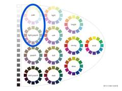 조승연 퍼스널 컬러 분석