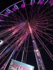 사랑은 낙하산 아래에서