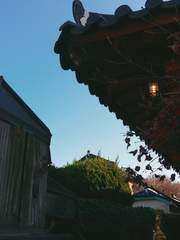 修人事待天命(수인사천대명)