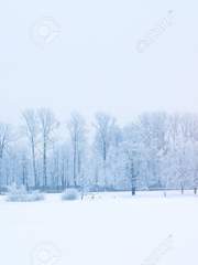 그대의 계절 完