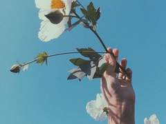 ㅍㅌ 어플이 좀 이상하다?! (+추가