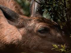 킬 더 메타포 上