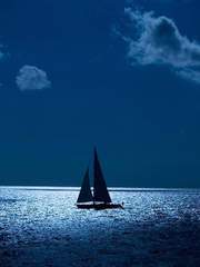 차씨 표류기 (完)